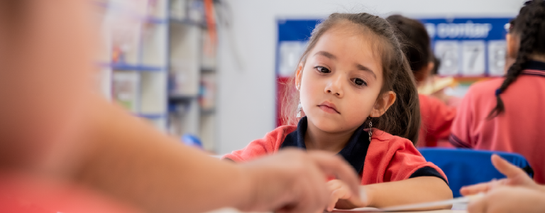 Ceci_Banner Tablet 768x300.png